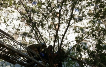 Молодая оренбурженка выжила после падения с девятого этажа (18+)