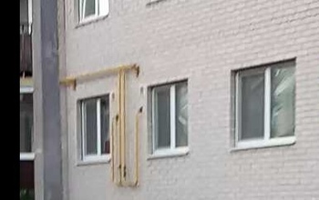 В Южном поселке Оренбурга дети затравили косулю (18+)