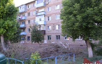 В Оренбурге спиленные ветки бросили под окнами жилой пятиэтажки