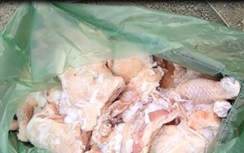 На оренбургской границе пресекли ввоз американских куриных окорочков
