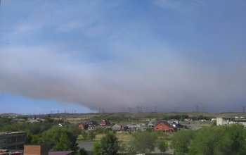 Из лагеря «Чайка» под Новотроицком эвакуировали детей