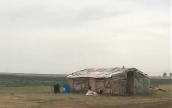 Проблемой заболоченной бахчеводами реки в Илекском районе занялась прокуратура