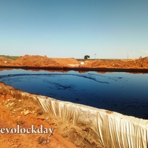 В Москву отправят письмо о несоответствии сотрудника Росприроднадзора Оренбуржья занимаемой должности