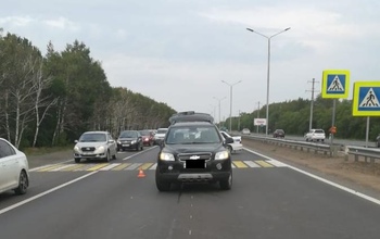 На пешеходном переходе Нежинского шоссе насмерть сбили дедушку (18+)