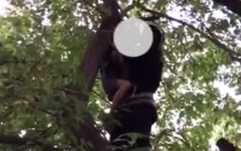 В Бузулуке снимать сорванца с дерева пришлось спасателям