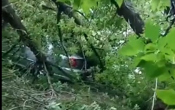 В Оренбурге во время сильного ветра дерево упало на машины