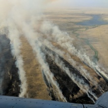 Площадь природного пожара в Оренбургской области достигла 50 тысяч гектаров
