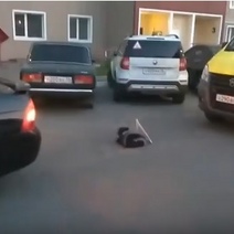 В Оренбурге во дворе жилого дома машина сбила ребенка