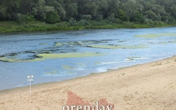 В каком виде встречает Ильин День главная водная артерия Оренбуржья
