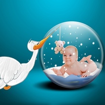 В Оренбургской области растёт спрос на ЭКО