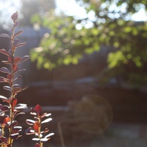 Грачёвский сельсовет Оренбуржья не смог осилить оплату контрактов за благоустройство