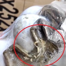 Упаковку куриного яйца с личинками обнаружили покупатели в оренбургском 