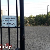 В мэрии Оренбурга порекомендовали УК озаботиться организацией площадок для выгула собак