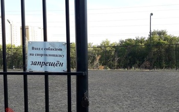 В мэрии Оренбурга порекомендовали УК озаботиться организацией площадок для выгула собак