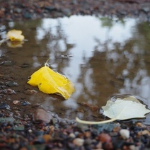 В Оренбуржье в первый учебный день будет холодно и пасмурно