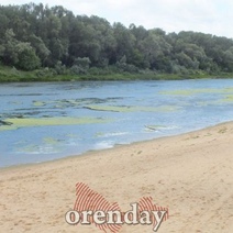 Такого мелководья на Урале под Оренбургом не было полсотни лет