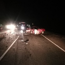 В Оренбуржье кабан, выбежавший на трассу, спровоцировал смертельное ДТП