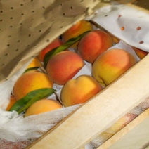 Через оренбургскую границу не пропустили более 136 тонн опасной продукции