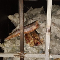 Через Оренбургскую область контрабандой везли рыбу