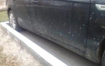 В Оренбуржье УК заплатит за обрызганные краской авто жителей