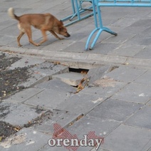 В мэрии Оренбурга прокомментировали новые провалы в районе 