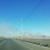 Под Оренбургом горит лесопосадка