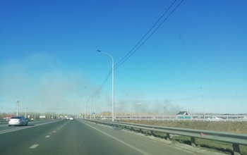 Под Оренбургом горит лесопосадка