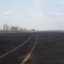 В Оренбуржье мужчина косил сено и получил смертельные ожоги