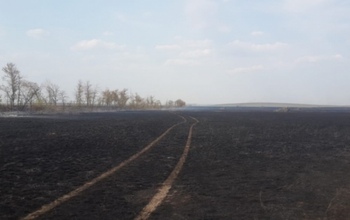 В Оренбуржье мужчина косил сено и получил смертельные ожоги
