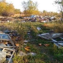 Оренбуржцы возмущены состоянием лесопосадки на улице Транспортной