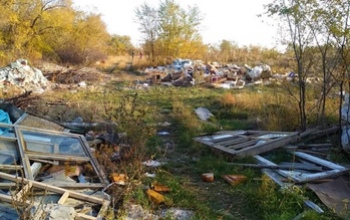 Оренбуржцы возмущены состоянием лесопосадки на улице Транспортной