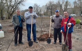 На месте снесенных домов оренбуржцы обустраивают народный парк