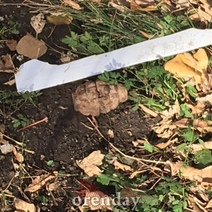 В Медногорске в палисаднике дворник нашел гранату