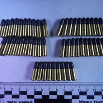 Орчанина обвиняют в незаконном хранении боеприпасов