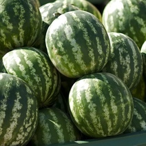 Соль-илечанина осудили за поддельные документы на арбузы