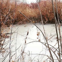 Орская природоохранная прокуратура занялась 