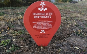 В Бузулуке на аллее Шуфутинского вырвали почти все рябины