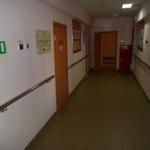 Роспотребнадзор Оренбуржья проверил приют для бездомных и выявил нарушения