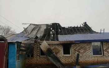 Под Оренбургом проводят проверку по факту пожара с пятью погибшими (18+)