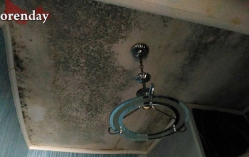 В Оренбурге фирма, из-за которой квартиры покрылись плесенью, выплатит штраф почти в 1 000 000 рублей