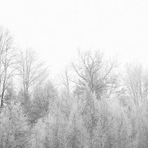 Из-за снегопада в Оренбуржье объявлен 