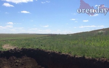 Полиции придется заняться копателями, разграбившими царский курган под Оренбургом