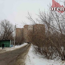 В Оренбурге охотники повадились бить зайца возле многоэтажки