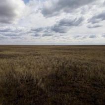 Фирма-собственник 