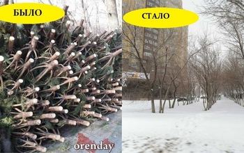 Остался ли мусор после того, как в Оренбурге закрылись елочные базары?
