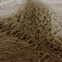 Прокуратура Оренбурга снова недовольна уборкой снега