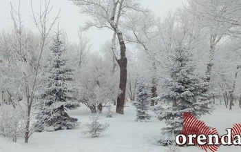 В Оренбургской области ожидается сильное похолодание на 10°С