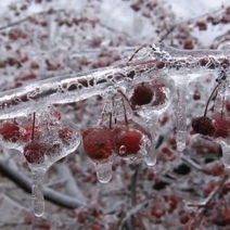Завтра оренбуржцам обещают ледяной дождь