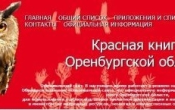 В День влюбленных представят новую версию 