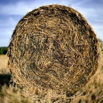 Житель Оренбуржья трагически погиб под завалами сена